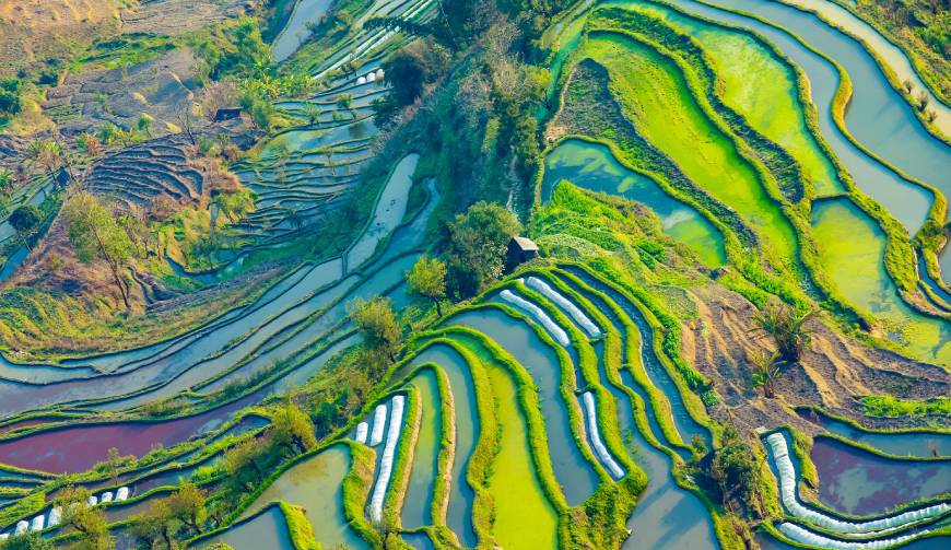 宝妈必备神器：定日县产品视频拍摄轻松育儿好帮手