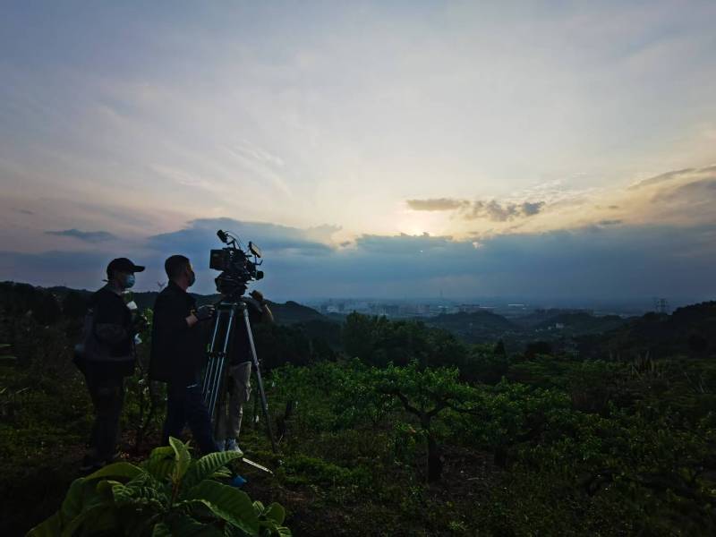 聚焦定日县产品宣传视频拍摄公司，用专业实力铸就品牌传播传奇