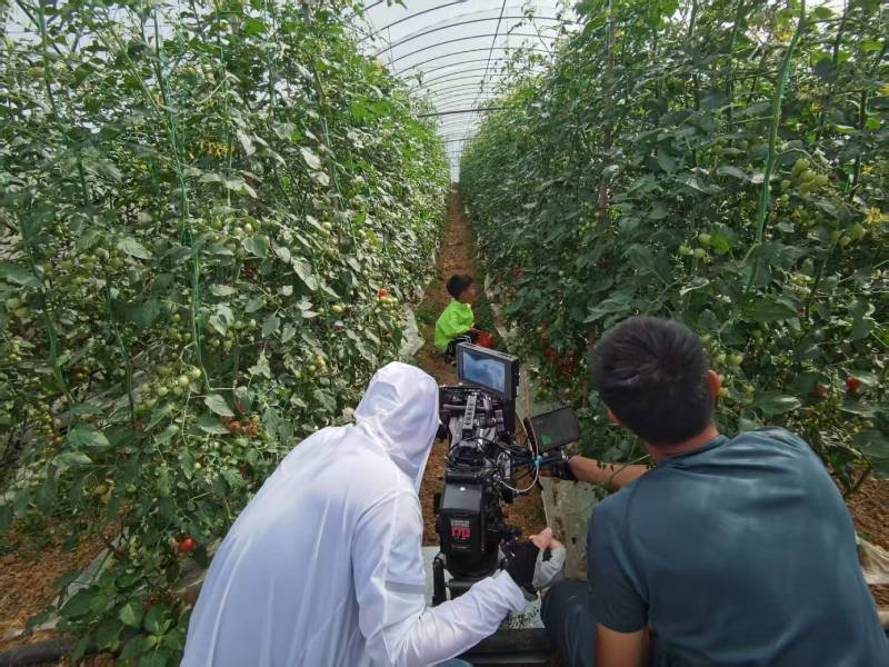 定日县产品宣传视频拍摄公司进阶指南，助力品牌抢占传播高地